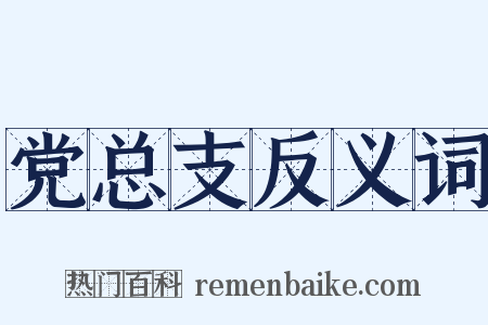 党总支反义词是什么意思的图片